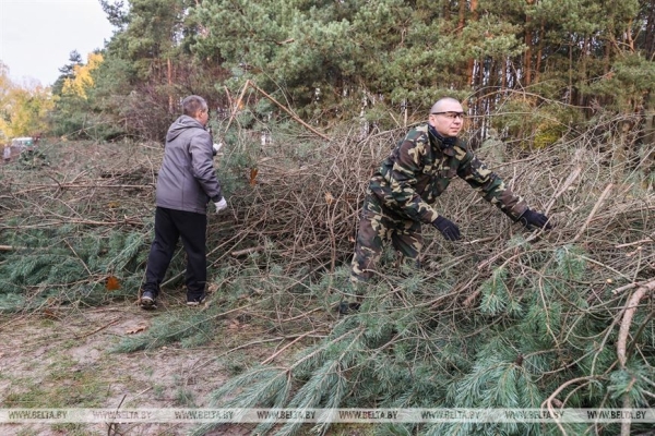 Парк воинов-интернационалистов в Бресте продолжат благоустраивать и создавать новые локации