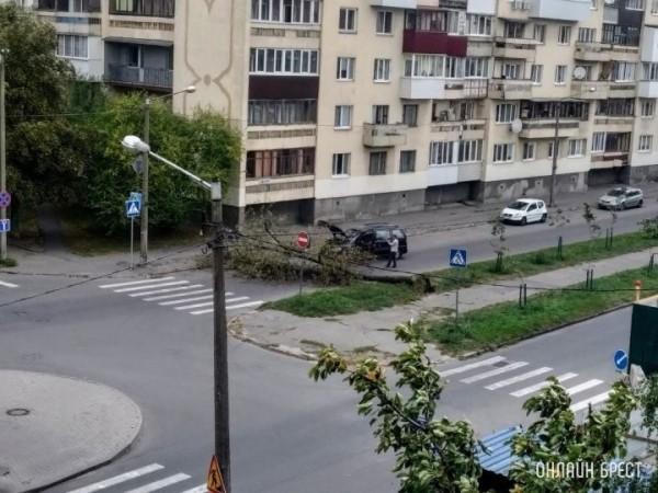 Дожди и порывистый ветер иногда преподносят всем нам «сюрпризы». ЖКХ Бреста обращается к жителям