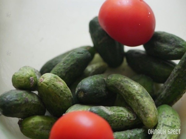 Производством овощей займется новый резидент свободной экономической зоны «Брест»