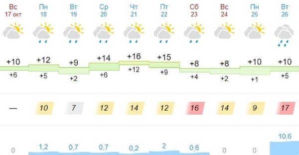 Какая погода ждет жителей Бреста на предстоящей неделе
