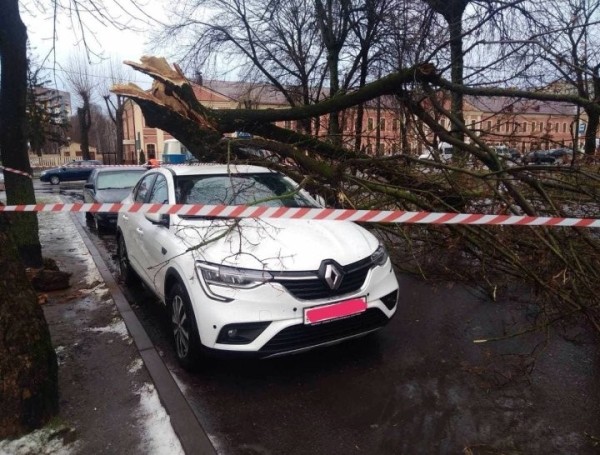 Причину аномально сильных ветров в январе объяснил синоптик