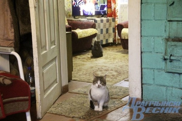 Пожилой сельчанке из Дрогичинского района нужна помощь волонтеров