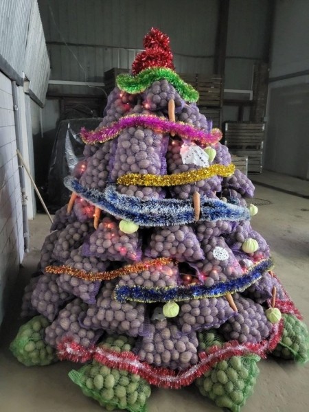 Елки в аграрных нарядах: Брестский обком профсоюза работников АПК подвел итоги конкурса Елки в аграрных нарядах: Брестский обком профсоюза работников АПК подвел итоги конкурса