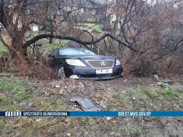 В Бресте автоледи перепутала педали газа и тормоза В Бресте автоледи перепутала педали газа и тормоза