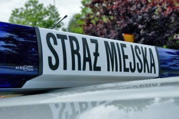 В Польше пьяный белорус за рулем хотел дать взятку полиции. Что было дальше? В Польше пьяный белорус за рулем хотел дать взятку полиции. Что было дальше?