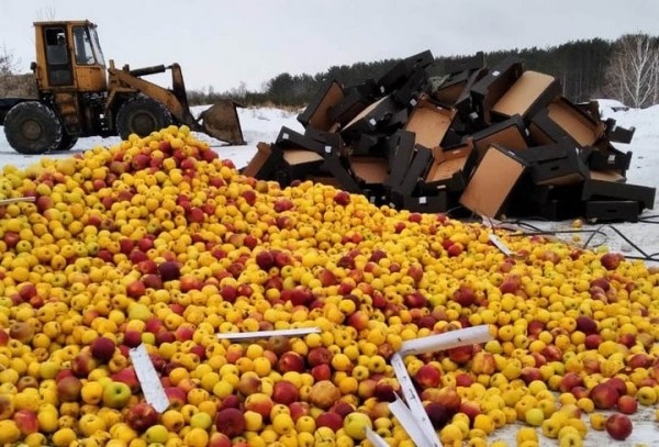 Почти три тонны яблок из Брестской области уничтожили в России Почти три тонны яблок из Брестской области уничтожили в России