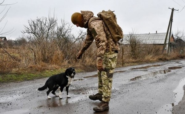 9 ЛЕТ без войны? 9 ЛЕТ без войны?