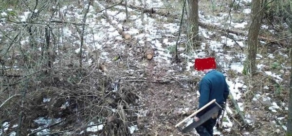 Под Лунинцем шла незаконная рубка леса