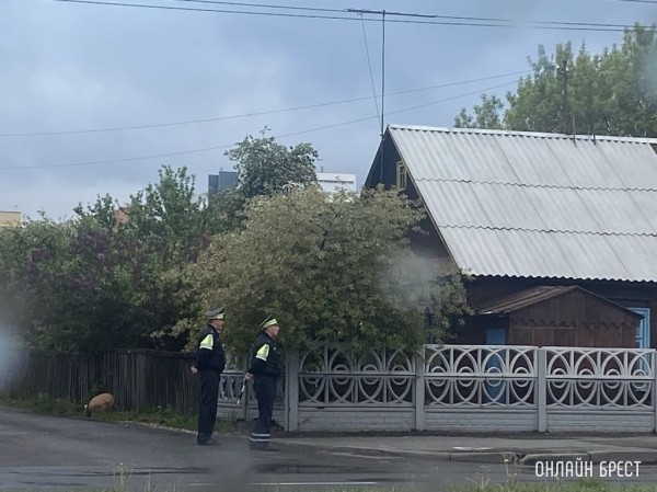 С начала нынешнего года в Брестской области задержали около 700 «бесправников»