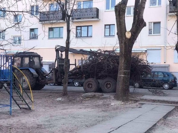 В Бресте завершаются работы по удалению и обрезке деревьев и кустарников В Бресте завершаются работы по удалению и обрезке деревьев и кустарников