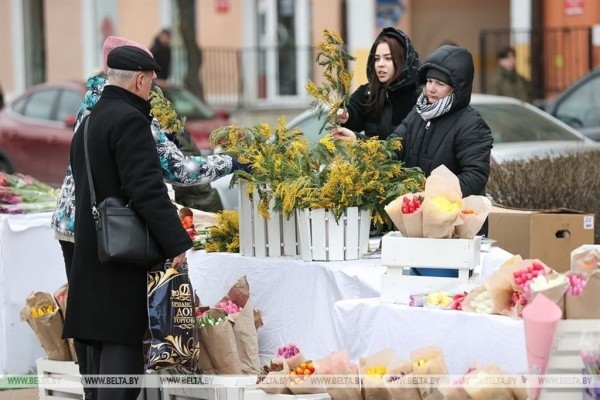 В Бресте стартовали цветочные ярмарки. Фоторепортаж