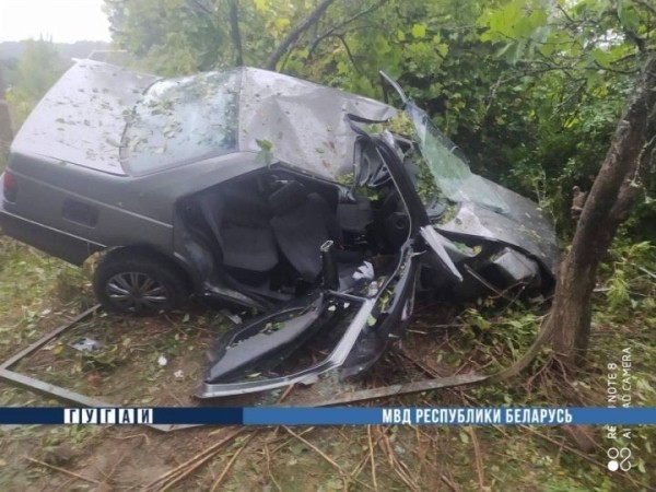 Ехала пьяная и без прав: суд в Каменце за ДТП приговорил женщину к 4 годам колонии-поселения