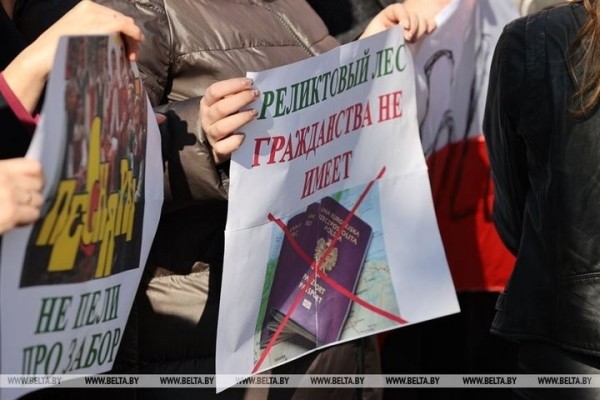 Пикет против строительства забора в Беловежской пуще проходит в Бресте