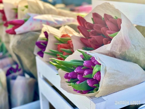Свежие, яркие, ароматные тюльпаны в Бресте по доступным ценам! Доставка и предзаказ