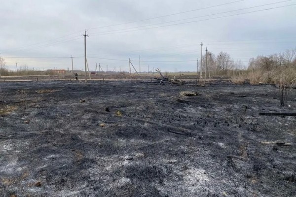 В Берёзовском районе от травы загорелось хозстроение