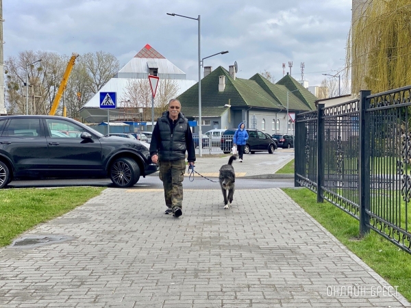 Кошки и собаки по закону: разбираемся с зооцентрами «Доктор Хвостов» в правилах содержания домашних животных. Регистрация, налоги, выгул