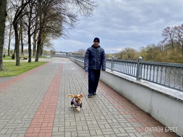 Кошки и собаки по закону: разбираемся с зооцентрами «Доктор Хвостов» в правилах содержания домашних животных. Регистрация, налоги, выгул