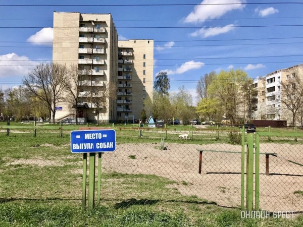 Кошки и собаки по закону: разбираемся с зооцентрами «Доктор Хвостов» в правилах содержания домашних животных. Регистрация, налоги, выгул