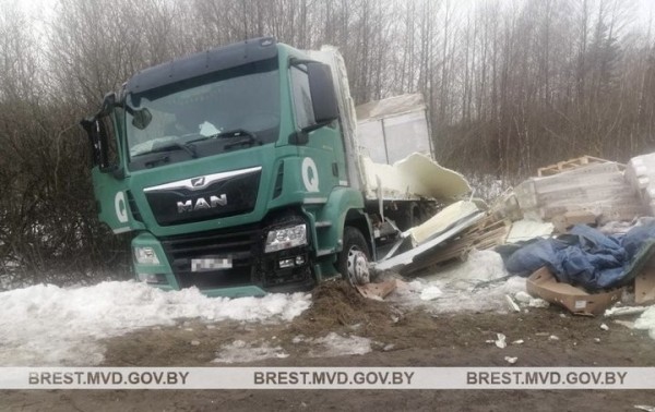 Косуля стала причиной ДТП в Брестской области Косуля стала причиной ДТП в Брестской области