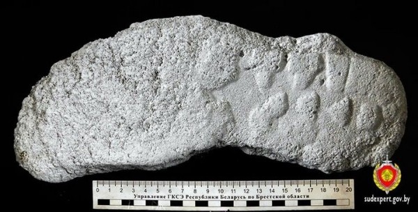 Виновников в краже металлолома нашли по следам кроссовок. Случай в Брестской области