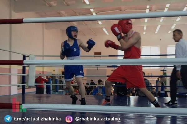 В Жабинке определяли лучших боксеров среди юношей