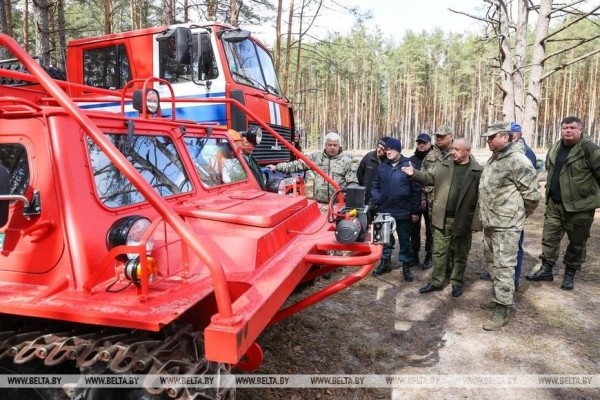 Около 3,5 млн деревьев высадят в Брестской области во время Недели леса