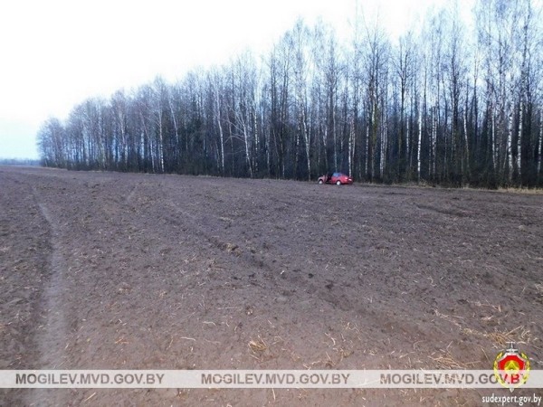 Пьяный житель Брестской области с другом угнали авто и пытались его сжечь