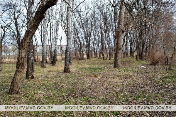 В Бобруйске нашли тело новорожденного мальчика, завернутого в женскую комбинацию и полиэтиленовый пакет
