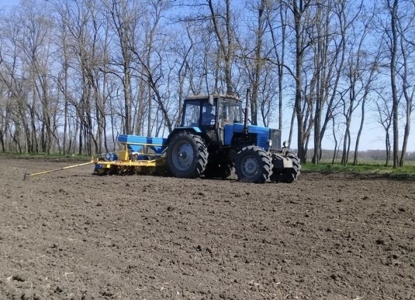 Аграрии Брестской области начали сеять сахарную свеклу Аграрии Брестской области начали сеять сахарную свеклу