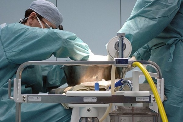 Более 700 молодых специалистов начнут работать в медицине Брестской области в этом году Более 700 молодых специалистов начнут работать в медицине Брестской области в этом году