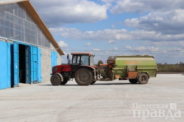 В Брестской области в Колодеевичах торжественно открыли новую молочно-товарную ферму