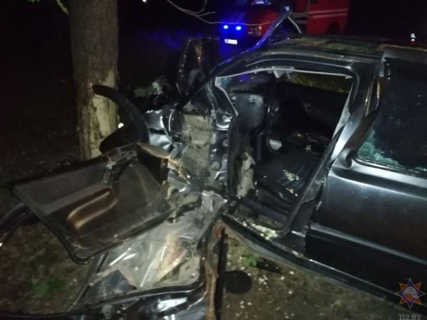ДТП в Брестской области: работники МЧС спасли водителя легковушки ДТП в Брестской области: работники МЧС спасли водителя легковушки