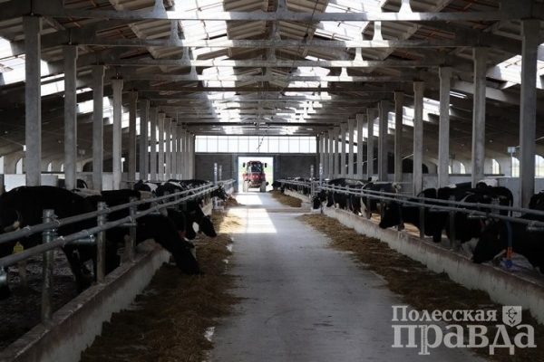 В Брестской области в Колодеевичах торжественно открыли новую молочно-товарную ферму
