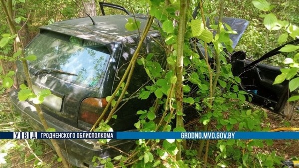 Сбитый лось приземлился на крышу ехавшего МАЗа. Погиб водитель легковушки