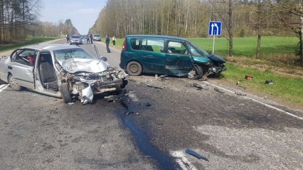 Один человек погиб, пятеро пострадали в ДТП из-за попытки объехать косулю