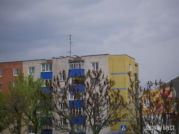 Аренда жилплощади для кота - плюс $30, запрет на мужчин и детей, подсчет воды и места в шкафу: белорусы рассказывают о необычных требованиях хозяев квартир, которые они снимали