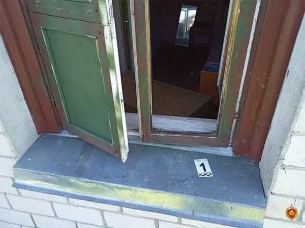 В отсутствие хозяев вынес из дома бытовую технику. Случай в Брестской области