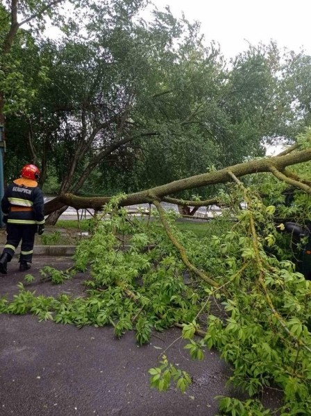 Досталось и машине. Последствия непогоды в Бресте Досталось и машине. Последствия непогоды в Бресте