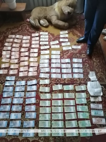 Похищенные деньги бизнес-леди в Брестском районе нашли зашитыми в мягкой игрушке