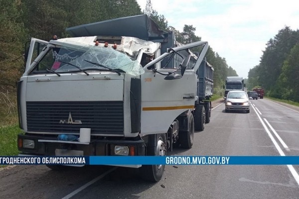 Сбитый лось приземлился на крышу ехавшего МАЗа. Погиб водитель легковушки