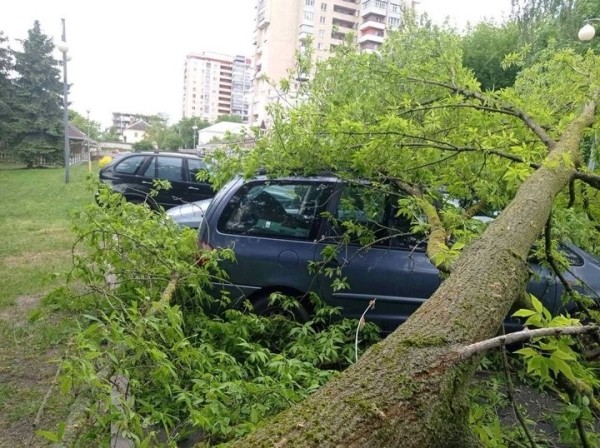 Досталось и машине. Последствия непогоды в Бресте Досталось и машине. Последствия непогоды в Бресте