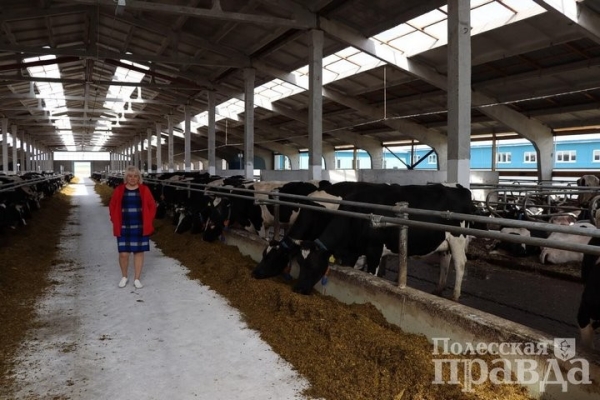 В Брестской области в Колодеевичах торжественно открыли новую молочно-товарную ферму