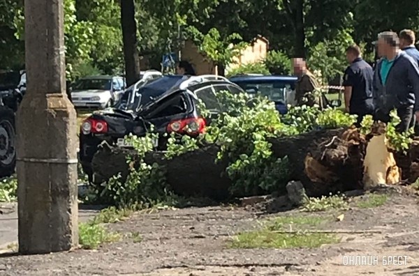 Читатель: В Бресте на Мицкевича дерево упало на машину. Автомобиль сильно пострадал. Фото сделано сегодня утром
Читатель: В Бресте на Мицкевича дерево упало на машину. Автомобиль сильно пострадал. Фото сделано сегодня утром