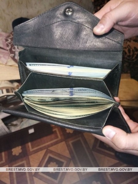 В Брестской области сын украл у матери $14 тыс.