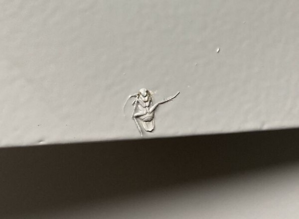 Что могло пойти не так? Всё! 33 строительных провала, которые заставят вас улыбнуться Что могло пойти не так? Всё! 33 строительных провала, которые заставят вас улыбнуться