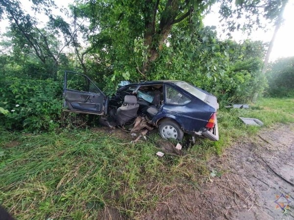 20-летний бесправник врезался в дерево в Кобринском районе 20-летний бесправник врезался в дерево в Кобринском районе