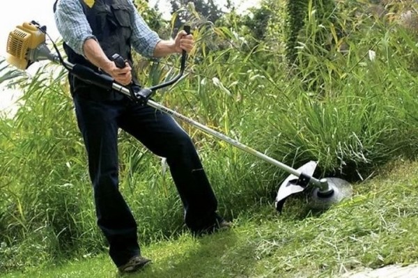Житель Бреста: Покосил за деньги траву соседке по даче. Надо ли платить с этого налог?