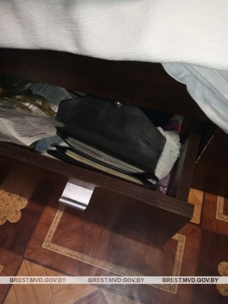 В Брестской области сын украл у матери $14 тыс.