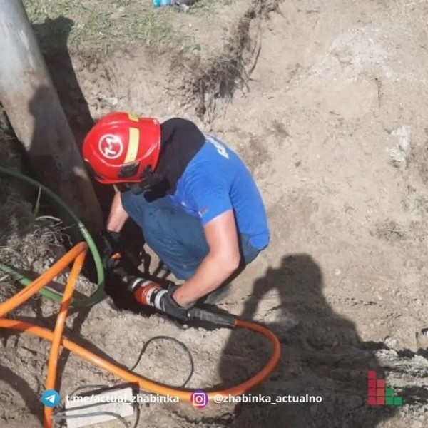 В Жабинке сотрудники МЧС спали щенка