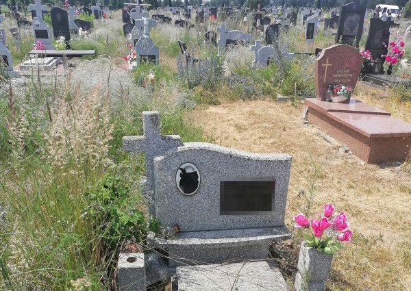 
                Читатель: Брест, Плоска. Что случилось с фотографиями на памятниках? Завелись вандалы или?
            